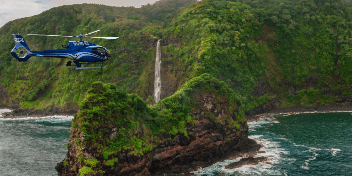 Hana Rainforest (1) (1)