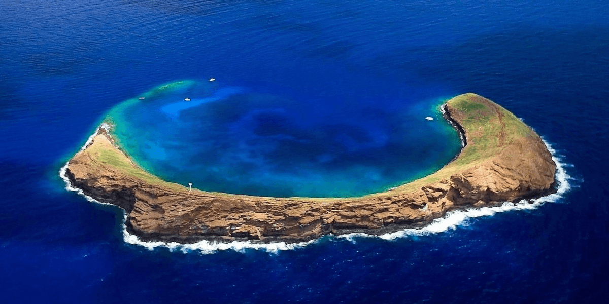 afternoon-snorkel-tour-maui (1)
